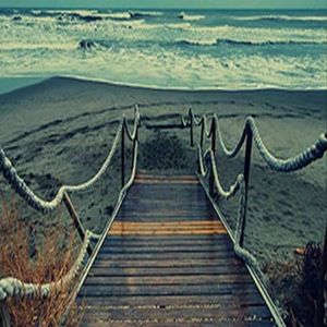 Meet your Posher, Trinity